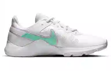 Nike Legend Essential 2