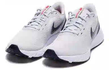 Nike Revolution 5 Grey