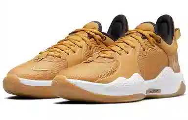 Nike PG 5 Low White Gold