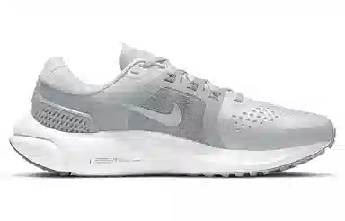Nike Air Zoom Vomero 15