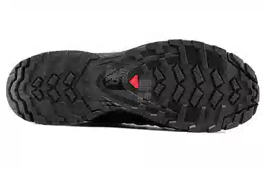 Salomon XA Pro 3D V8 GTX