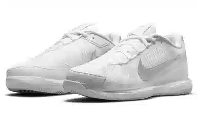 Nike Air Zoom Vapor pro Court