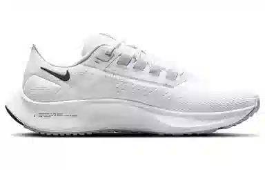 Nike Pegasus 38 White