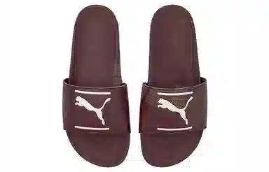 PUMA Leadcat FTR