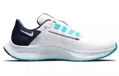 Nike Pegasus 38 White Blue