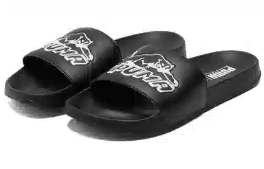 Puma Leadcat Ftr BB Cat