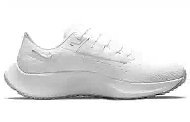 Nike Pegasus 38 White Silver