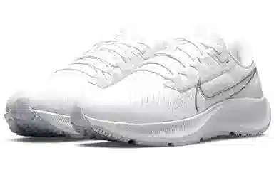 Nike Pegasus 38 White Silver