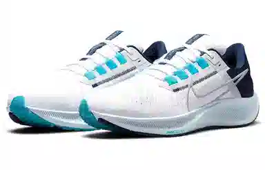 Nike Pegasus 38 White Blue