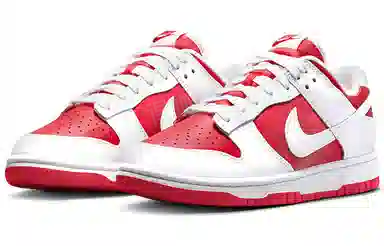 Nike Dunk Retro