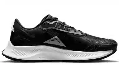 Nike Pegasus Trail 3 Black White