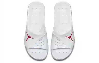 Jordan Super.fly Team Slide