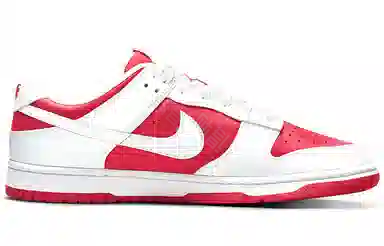 Nike Dunk Retro