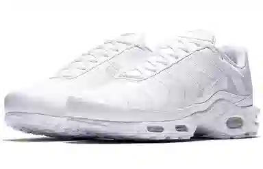 Nike Air Max Plus