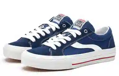 oddCIRKUS x Vision Street Wear Astley Pro