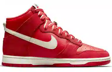 Nike Dunk "First Use"