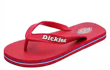 Dickies