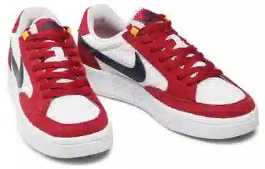 Nike SB Adversary
