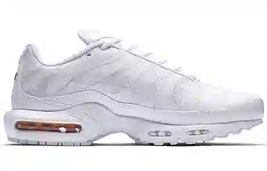 Nike Air Max Plus