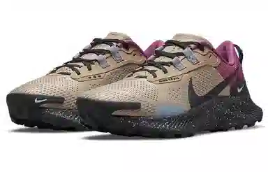 Nike Pegasus Trail 3