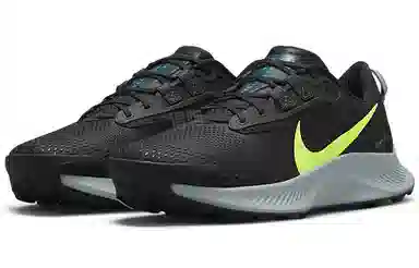 Nike Pegasus Trail 3