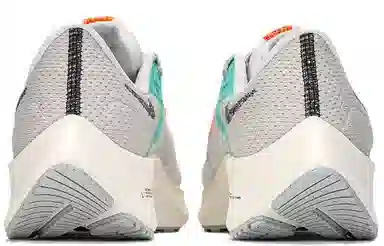 Nike Pegasus 38 White Green