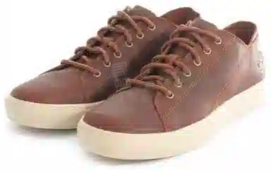 Timberland ADV 2.0 Brown