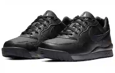 Nike Air Wildwood ACG Black