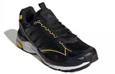adidas Spiritain 2000 Gtx