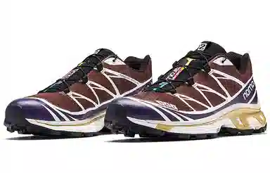 SALOMON XT-6