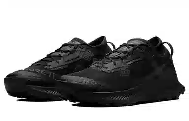 Nike Pegasus Trail 3 Gore-Tex Black
