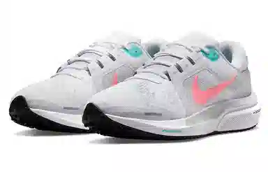 Nike Air Zoom Vomero 16