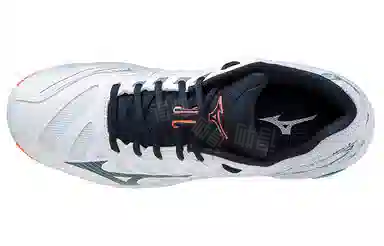 Mizuno Wave Voltage