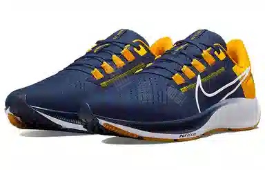 Nike Pegasus 38 "West Virginia"