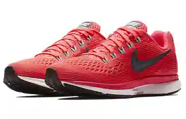 Nike Pegasus 34