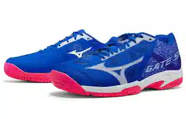 Mizuno Gate Sky Plus