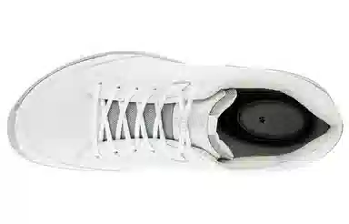 ecco Golf Biom Hybrid