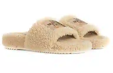 The North Face x Gucci