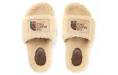 The North Face x Gucci