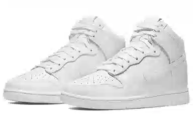 Nike Dunk Retro PRM