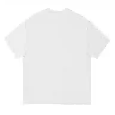 REXSHION T