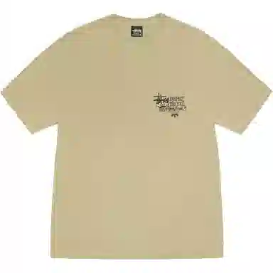 Stussy SS25 Respect the Pool Tee