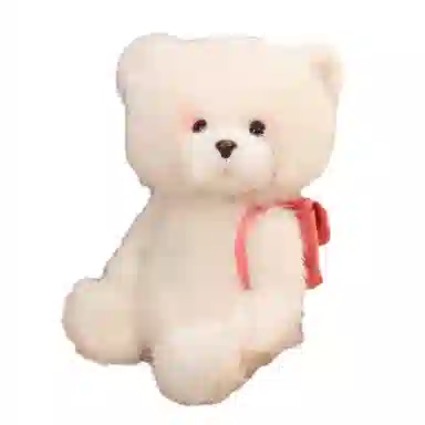 25cm35cm
