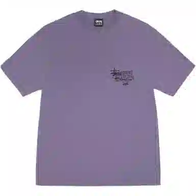 Stussy SS25 Respect the Pool Tee