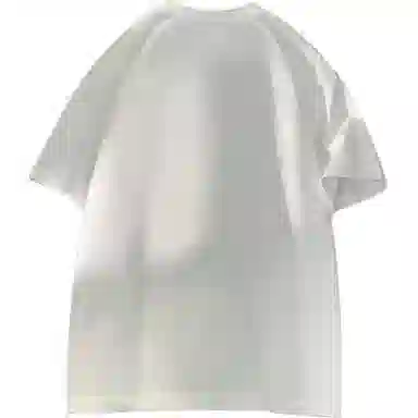FUNST 48240tT
