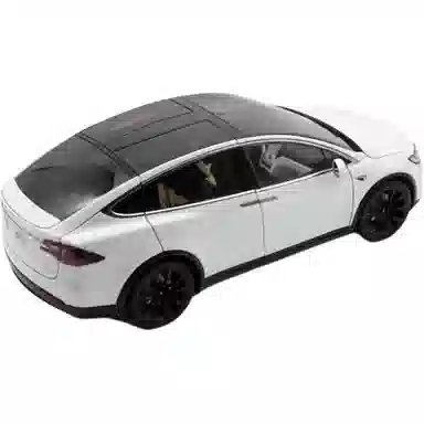 118 MODEL X SUV