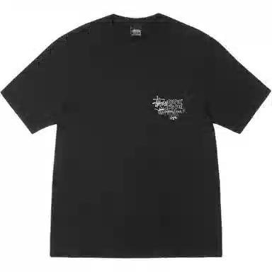 Stussy SS25 Respect the Pool Tee