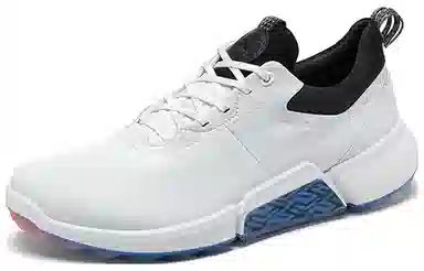 ecco Golf Biom H4