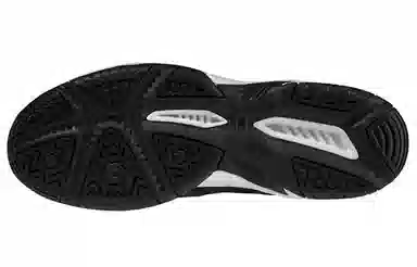 Mizuno Gate Sky Plus