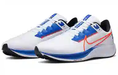 Nike Pegasus 38 White Blue
